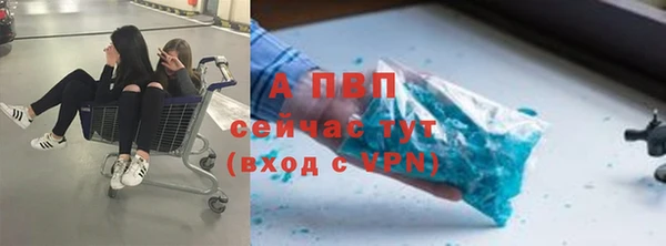дживик Верхний Тагил