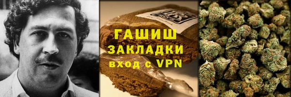 шишки Бородино