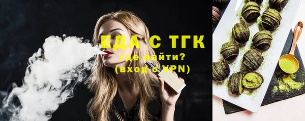 дживик Верхний Тагил