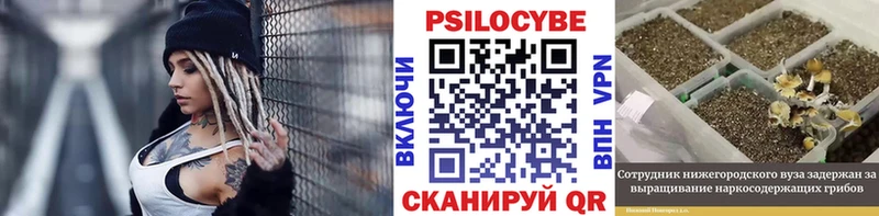Псилоцибиновые грибы MAGIC MUSHROOMS  где найти наркотики  Игарка 